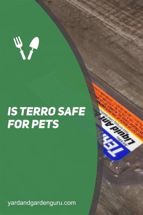 Is terro safe for pets. Things To Know About Is terro safe for pets. 