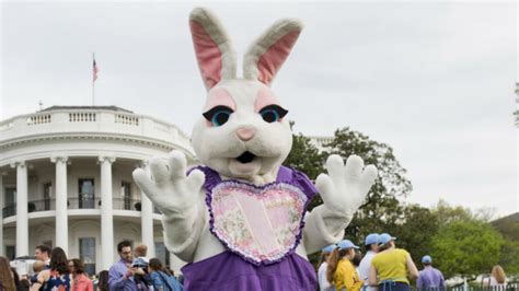 Is the Easter Bunny real? – Metro US