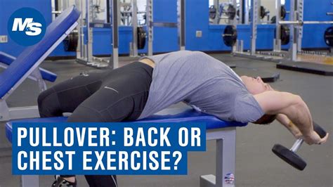 Is the Pullover a Back or Chest Exercise 