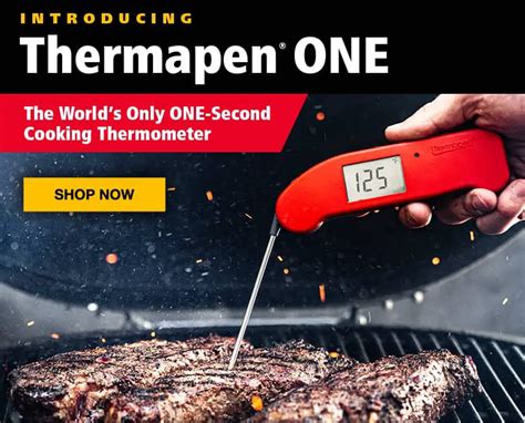 Is the Thermapen worth the money? The Price of Safe BBQ