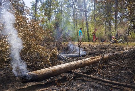 Is there still a burn ban in st tammany parish. President Mike Cooper has notified the Louisiana Department of Agriculture and Forestry that St. Tammany Parish is opting out of the statewide burn ban, with support from the … 