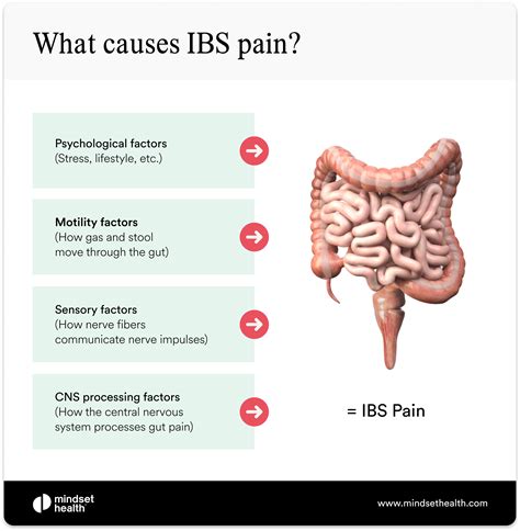 Is this IBS? Constant pain and