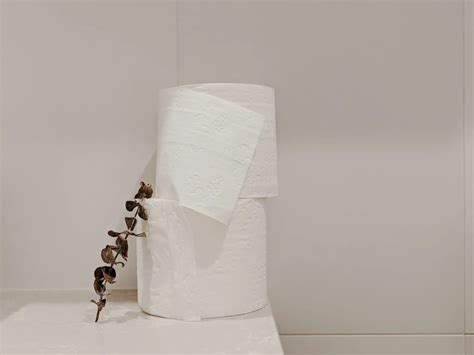 Is toilet paper biodegradable. Paper is biodegradable; this is because is made from wood and as we all know plant materials are biodegradable. Paper can even be recycled up to 6-7 times before the paper fibers breakdown to much to be turned in to paper. The natural biodegradable process can take anywhere between two to six weeks before you’ll notice it start to degrade ... 