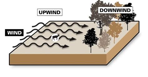 Is upwind or downwind safer