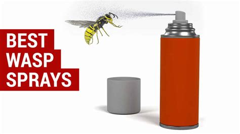 Is wasp spray dangerous to humans. Things To Know About Is wasp spray dangerous to humans. 