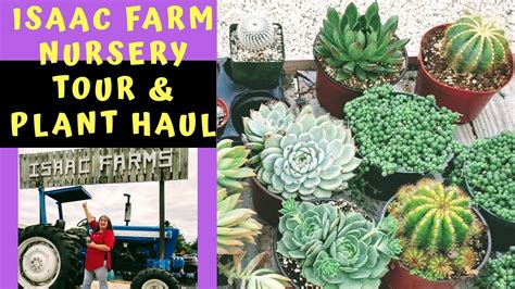 Isaac farms nursery. ISAAC FARMS INC., Miami, FL. 144 likes · 6 were here. Succulents, Cactus, Hoyas, Orchids, Air Plants - Miami Farm Open to the public 