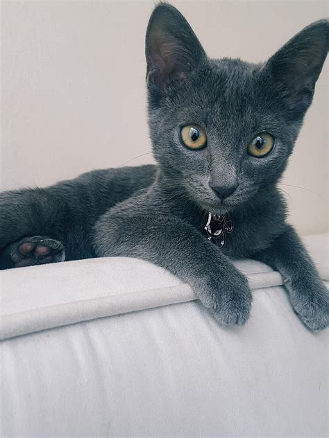 Isapasa Halı ve Koltuk Yıkama