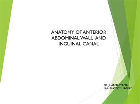 Ischiorectal fossa - SlideShare