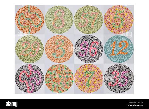 Ishihara Color Vision Test Patterns Repetition
