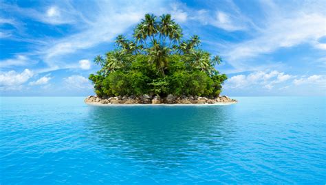 Con esta plantilla de Slidesgo te lo ponemos fácil. Está inspirada en una isla desierta y está llena de ilustraciones de palmeras, cocoteros, barcos y sirenas.. 