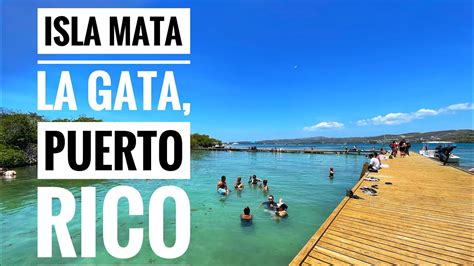 Isla mata la gata. Isla Mata La Gata. 4.5. 80 reviews. #11 of 20 things to do in La Parguera. Islands. Open now. 12:00 AM - 11:59 PM. Write a … 