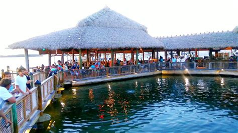 Islamorada fish company. Things To Know About Islamorada fish company. 
