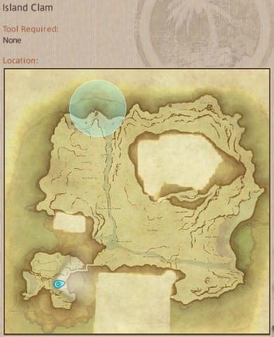 Island Clam/Patch - Gamer Escape's Final Fantasy XIV (FFXIV, FF14) wiki.. 