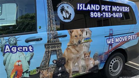  With expertise in global pet transport, they navigate complex regulations and provide documentation services, flights, customs clearance, and transfers to various destinations. Their dedicated team is known for their unwavering commitment to the smooth and timely transition of your beloved companion, making Island Pet Movers the go-to choice ... .