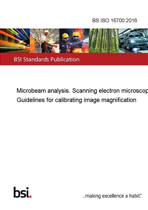 Iso 167002004 microbeam analysis scanning electron microscopy guidelines for calibrating image magnification. - Right triangles and trigonometry study guide answers.