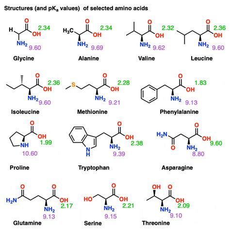 Isoelectric Point of Amino Acids with Ionizable R-Groups Explained: Definition, Examples, Practice & Video Lessons (2025)