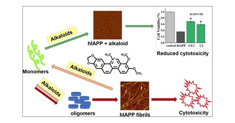 Isoquinoline Alkaloid - an overview ScienceDirect Topics