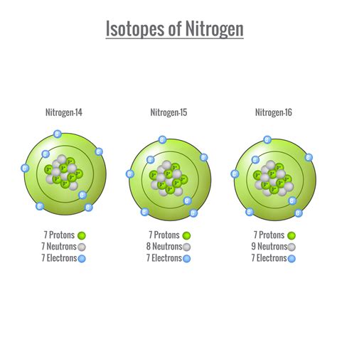 Nitrogen-15 is an isotope of nitrogen, which means it has a different number of neutrons (in this case, 1 extra), but it is still nitrogen, so its atomic number is still 7. This reflects the .... 