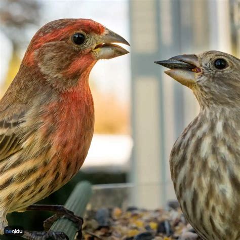 Ispinoz Halı ve Koltuk Yıkama