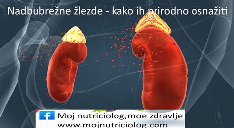 Ispitivanje nadbubrezne zlezde