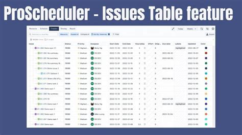 Issues Table - docs.devsamurai.com