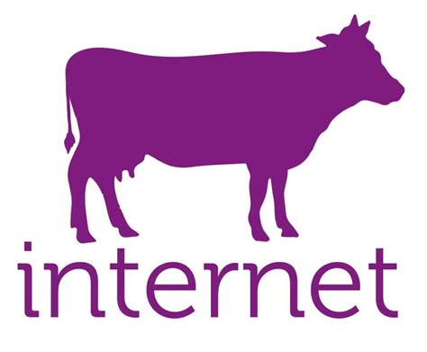 Issues with Purple Cow Internet : r/halifax - Reddit