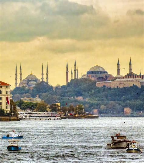 codini.rgarabwor.edu.pl. 