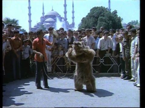 Istanbul ayı oynatma