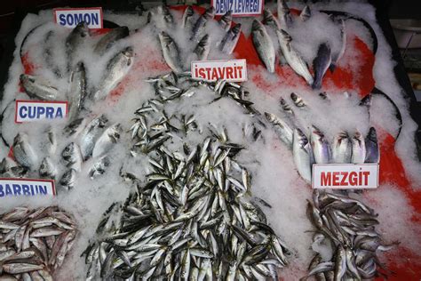 Istanbul da balık fiyatları