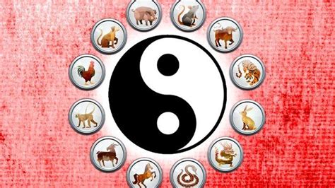Istilah dalam taruhan bola online. Togel jalur main shio.