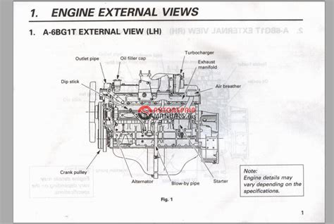 Isuzu diesel engine 6bg1 service manual. - Dr wright s guide to healing with nutrition.