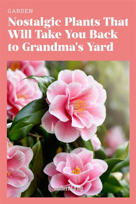 It’ll take you back to Grandma’s. - Southern Living