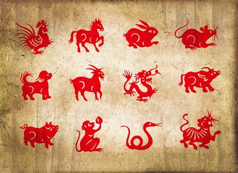 It’s the Lunar New Year. Which animal are you? And what does ... - WPLG