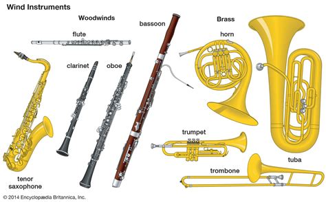 It is a wind instrument usually made fron the shell of a large sea …