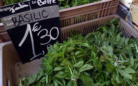 Italian airport relaxes liquid carry-on rule for large jars of pesto