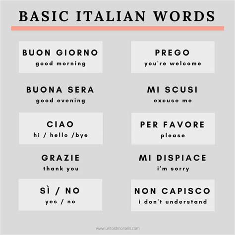 Download Italian Vocabulary An Assortment Of Wordsphrases For Various Occasions By Quickstudy