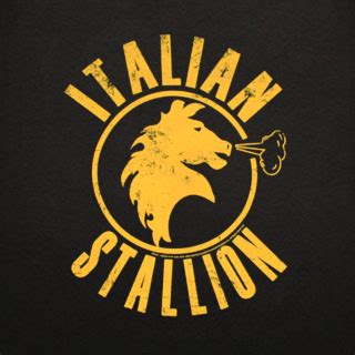 Italian Stallion Logo. We have found 35 Italian Stallion logos. Do you have a better Italian Stallion logo file and want to share it? We are working on an upload feature to allow everyone to upload logos! 146,676 logos of 4,892 brands, shapes and colors.