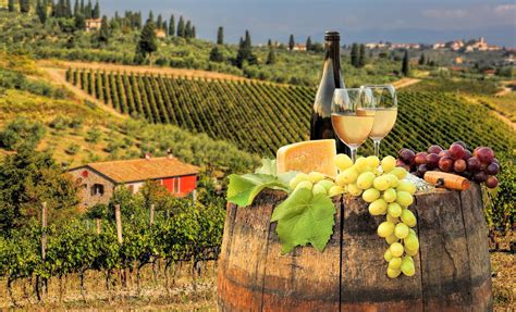 Italy wine tours. Overview of Florence Wine Tour. This premium wine tour features vineyard walks at superb wineries in Chianti and Montalcino, and mouth-watering gourmet discoveries. Visits to Florence and Siena, two of the most spectacular cities in Italy, are also included, as well as hidden gems like Pietrasanta, Lucca, and Carrara and … 