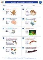 Itmb chapter 9 study guide key echinoderm. - Manual de instrucciones blu ray sony.