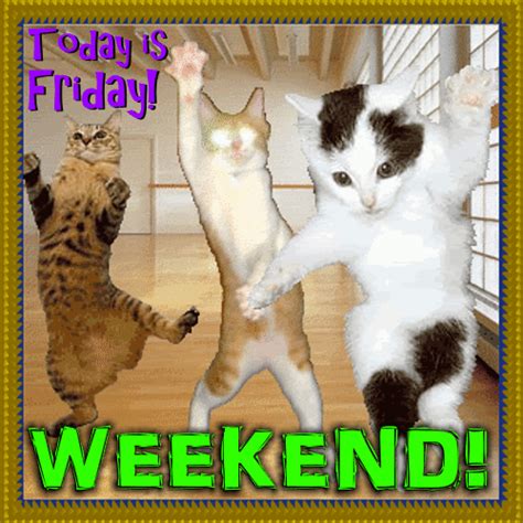 Its the weekend gif. Relax Its The Weekend GIF - Relax Its The Weekend Garfield - Discover & Share GIFs. The perfect Relax Its The Weekend Garfield Animated GIF for your conversation. Discover and Share the best GIFs on Tenor. Renee Potts. Happy Morning Quotes. Morning Thoughts. Good Morning Good Night. Good Morning Images. 