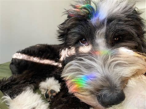 🍌 [SEX VIDEO] Itsdani_G Onlyfans Leak