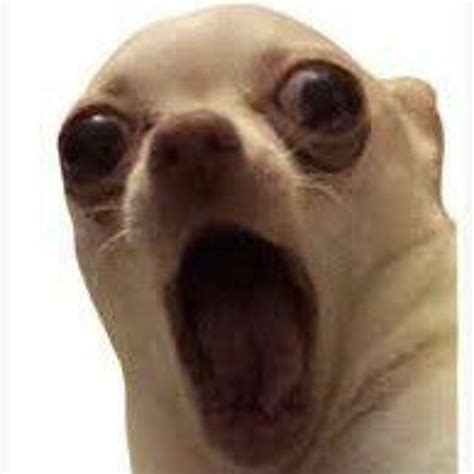 Itsmadixon Onlyfans Leaked 🍑 [CLIP]