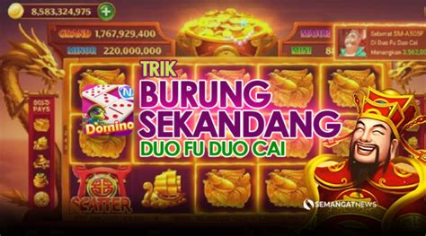 Itu togel dan cara kerjanya. Main domino duofu duocai hari.