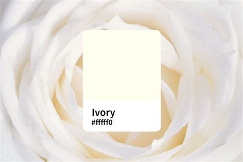 Ivory Color Meanings