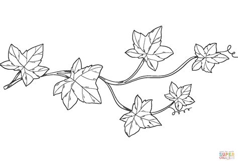 Ivy Coloring Page at Free printable colorings pages