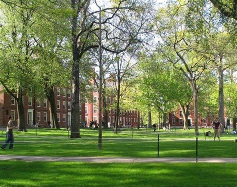 Ivy League Admission Tips: The Academic Index - IVY League