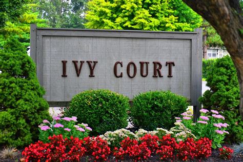 Ivy court. Things To Know About Ivy court. 