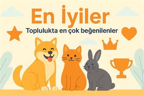 Iyiler Halı ve Koltuk Yıkama