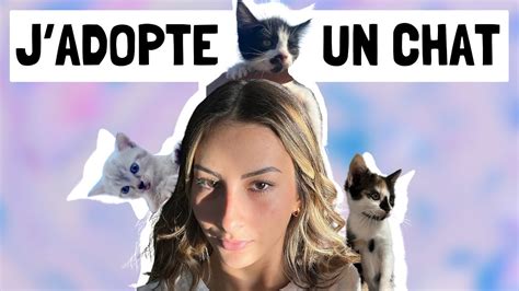 J Adopte Un Chat
