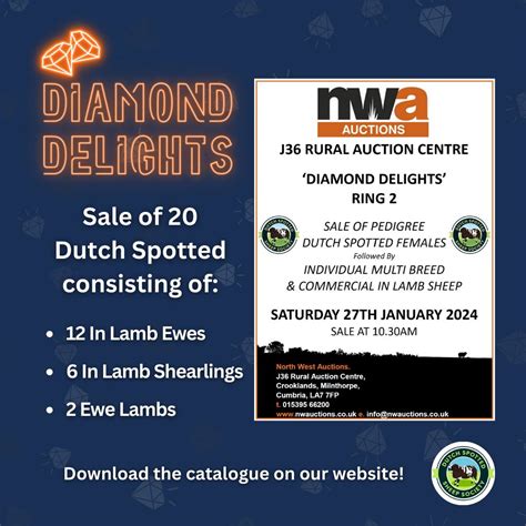 J36 Diamond Delights, Saturday 29th January 2024 Sales Reports ...